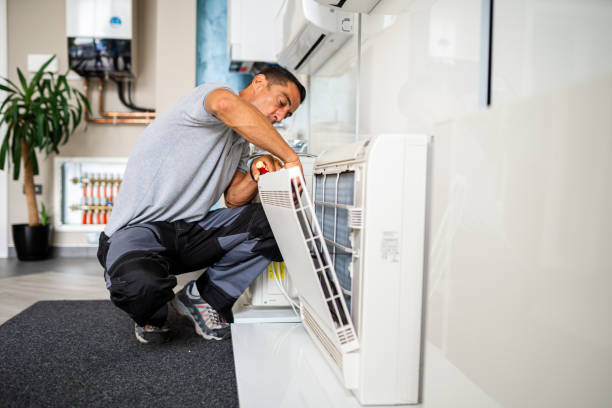 Best Air Duct Cleaning Near Me  in Rogersville, TN