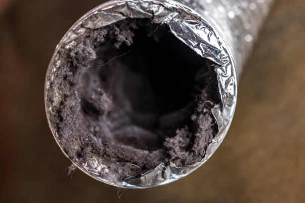 Best Best Air Duct Cleaning Company  in Rogersville, TN