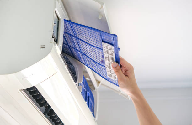 Best Air Duct Sanitizing Services  in Rogersville, TN